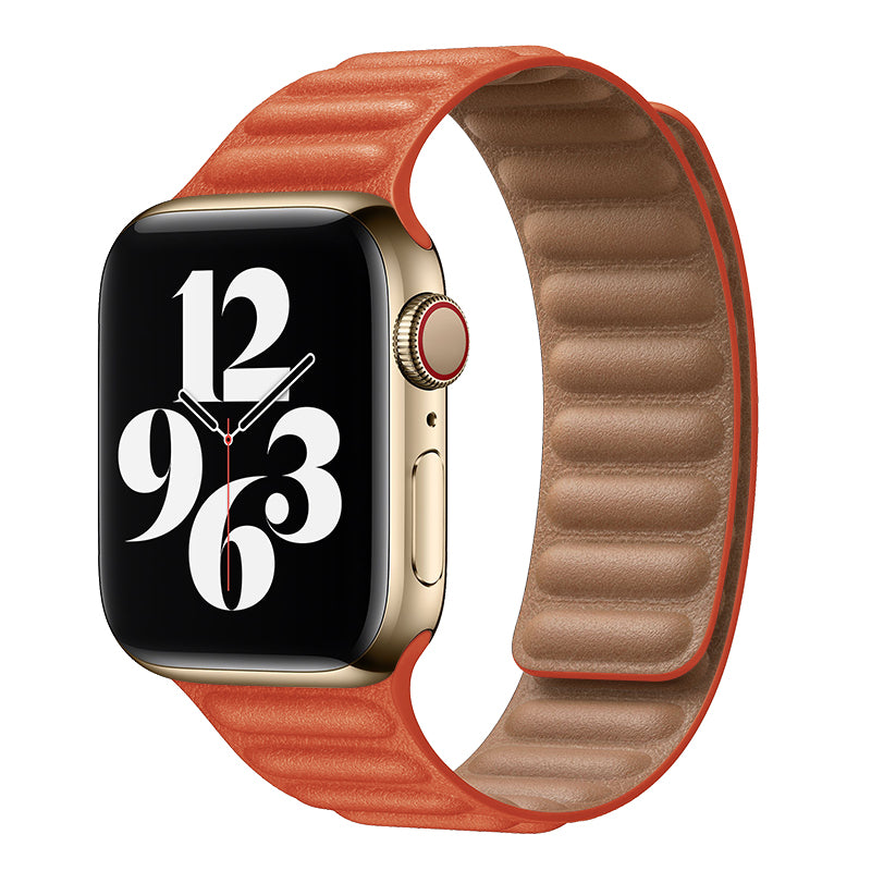 Apple Watch Ultra Leather Magnetic band (EROWB-040)