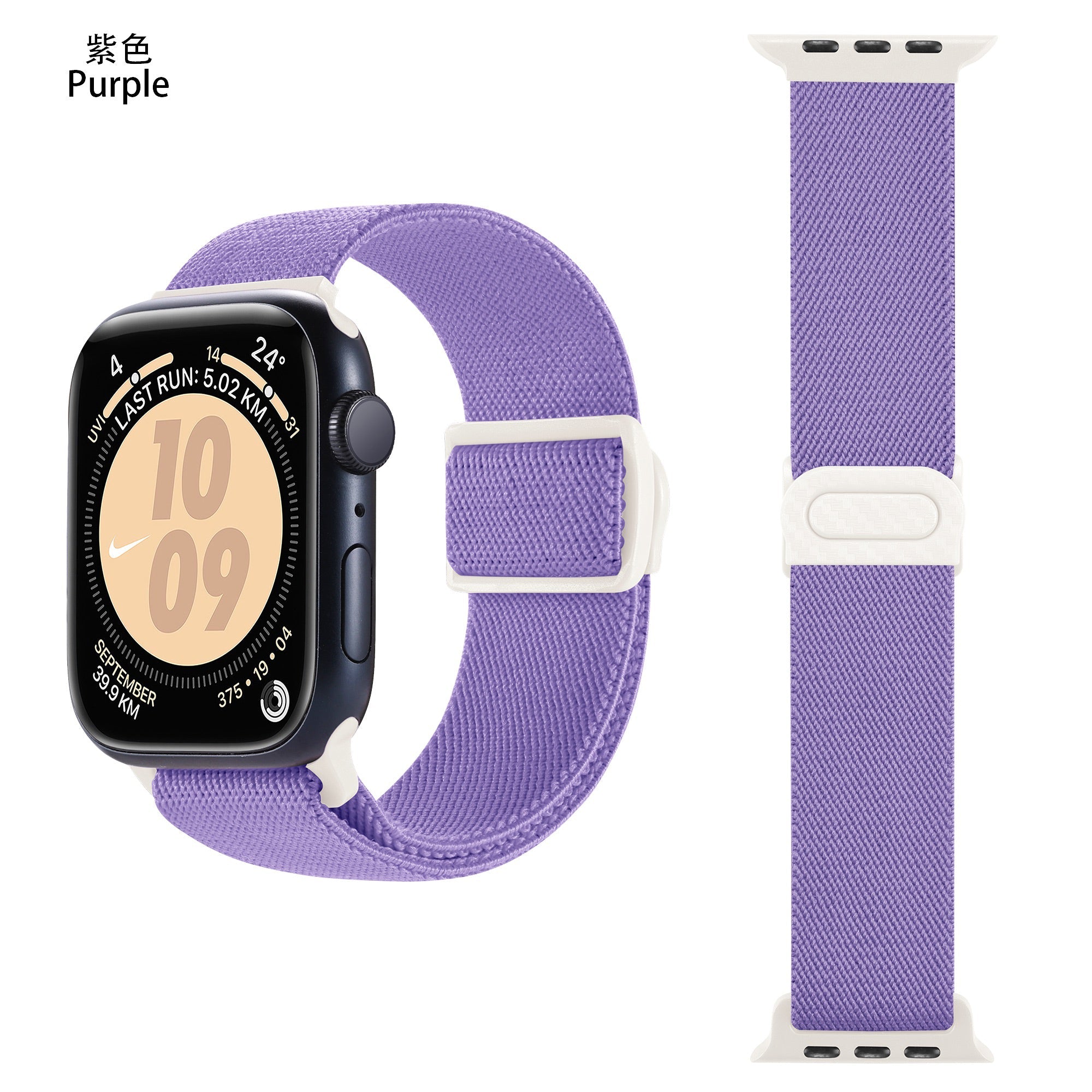 Apple Watch iCarbon Fiber Buckle One loop Elastic Nylon Band (LSSY-031)