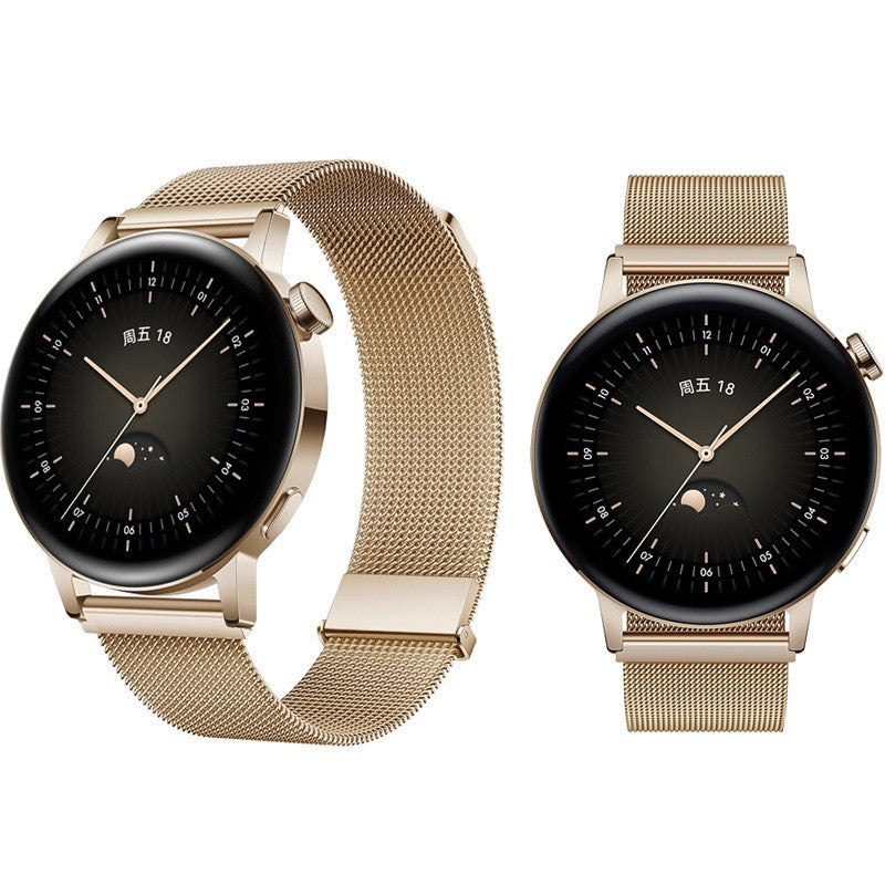 20 mm Quick Release Stainless steel Magnetic Watch Band (LXMM-017)