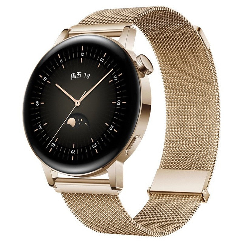 20 mm Quick Release Stainless steel Magnetic Watch Band (LXMM-017)