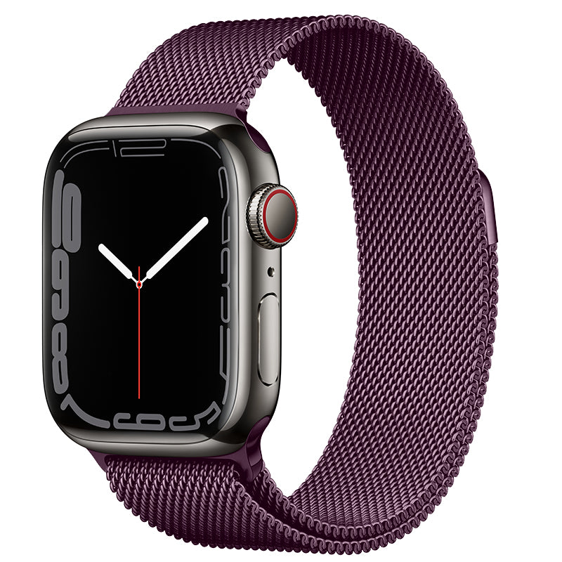 Apple Watch Milanese (Pg12)